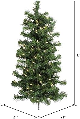 Vickerman 3 'Douglas Fir Cirtial Combristice Wall Tree, אורות LED לבנים דוראים -מוארים - עץ חג המולד פו אשוח פו - עיצוב קיר מקורה עונתי עונתי